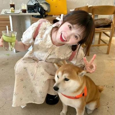 派对女孩在线观看
